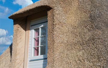 Hoofield thatch roof disadvantages